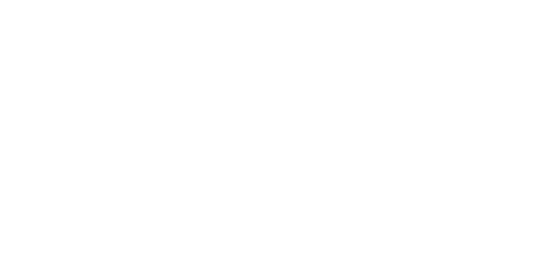 professionalism